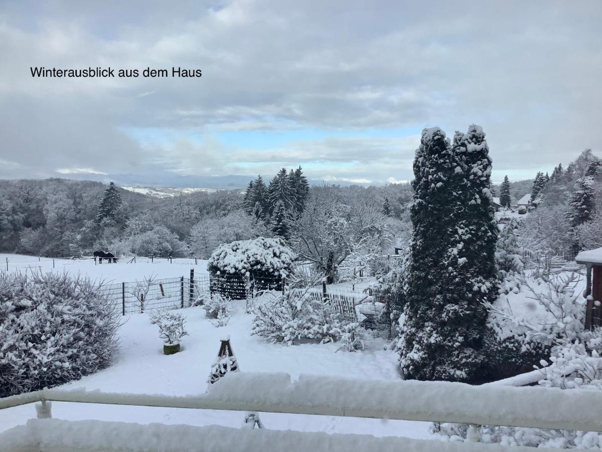 Wohlfuehloase Am Michelsberg Apartment Bad Munstereifel Bagian luar foto