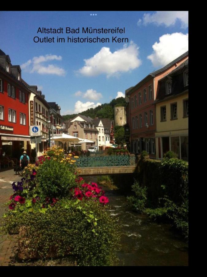 Wohlfuehloase Am Michelsberg Apartment Bad Munstereifel Bagian luar foto